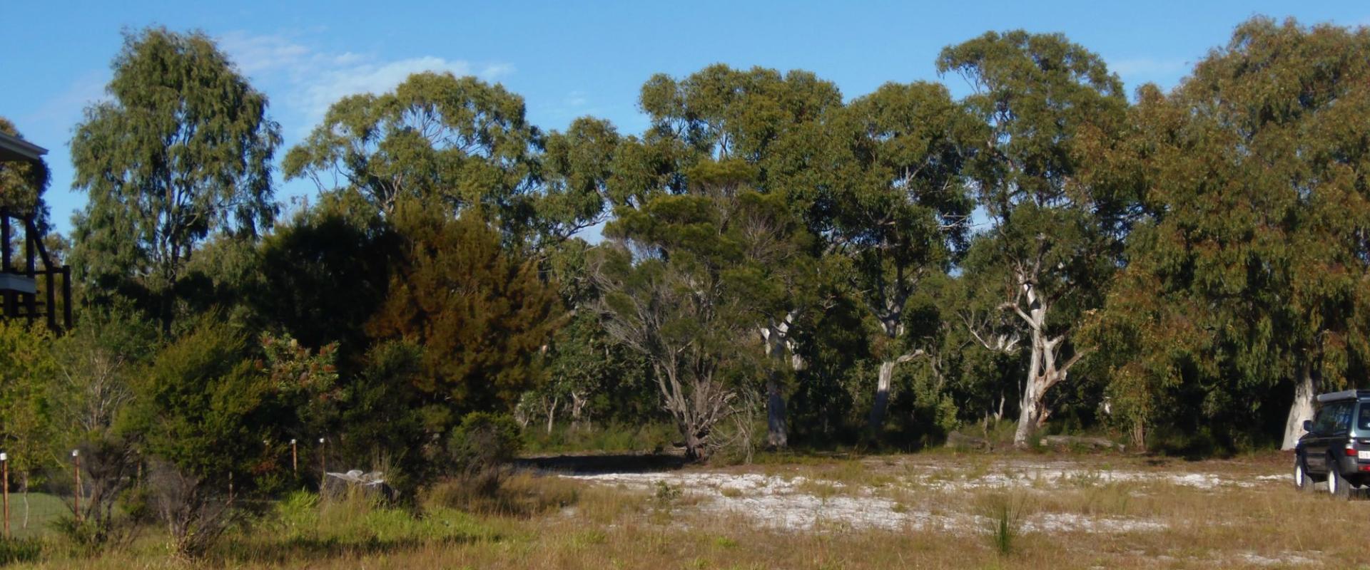 Cooloola Coast Realty Elevated Land