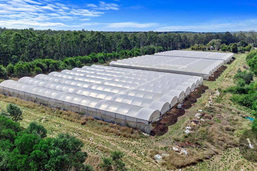 Greenhouse Goldmine