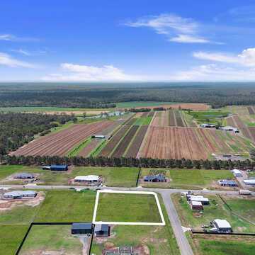 Camille D testimonial image