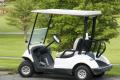 Golf Cart Repairs, Sales & Service Business, Gold Coast Region. | ID: 1042