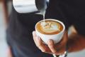 Espresso Bar - Parramatta (5 days trade) - WIWO offers considered