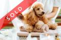 SOLD! Dog Daycare & Grooming Business SOLD!
