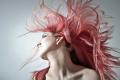 Luxury Boutique Salon, in Townsville