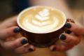 Premium Specialty Coffee Café – Prime Port Douglas Location