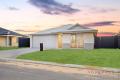 🏡 Brand New Build | Light-Filled Living | Family Ready including Study!