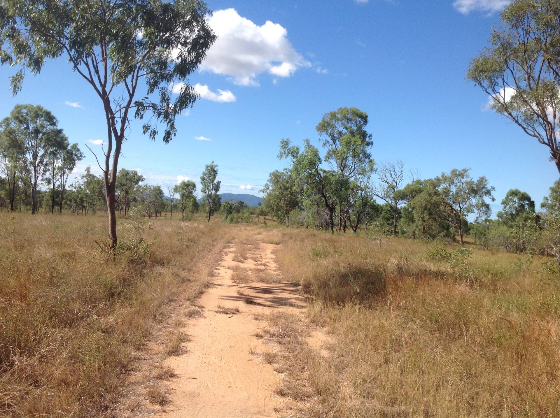 Cherryfield Road, Gracemere QLD 4702, Gracemere - Thumbnail 3