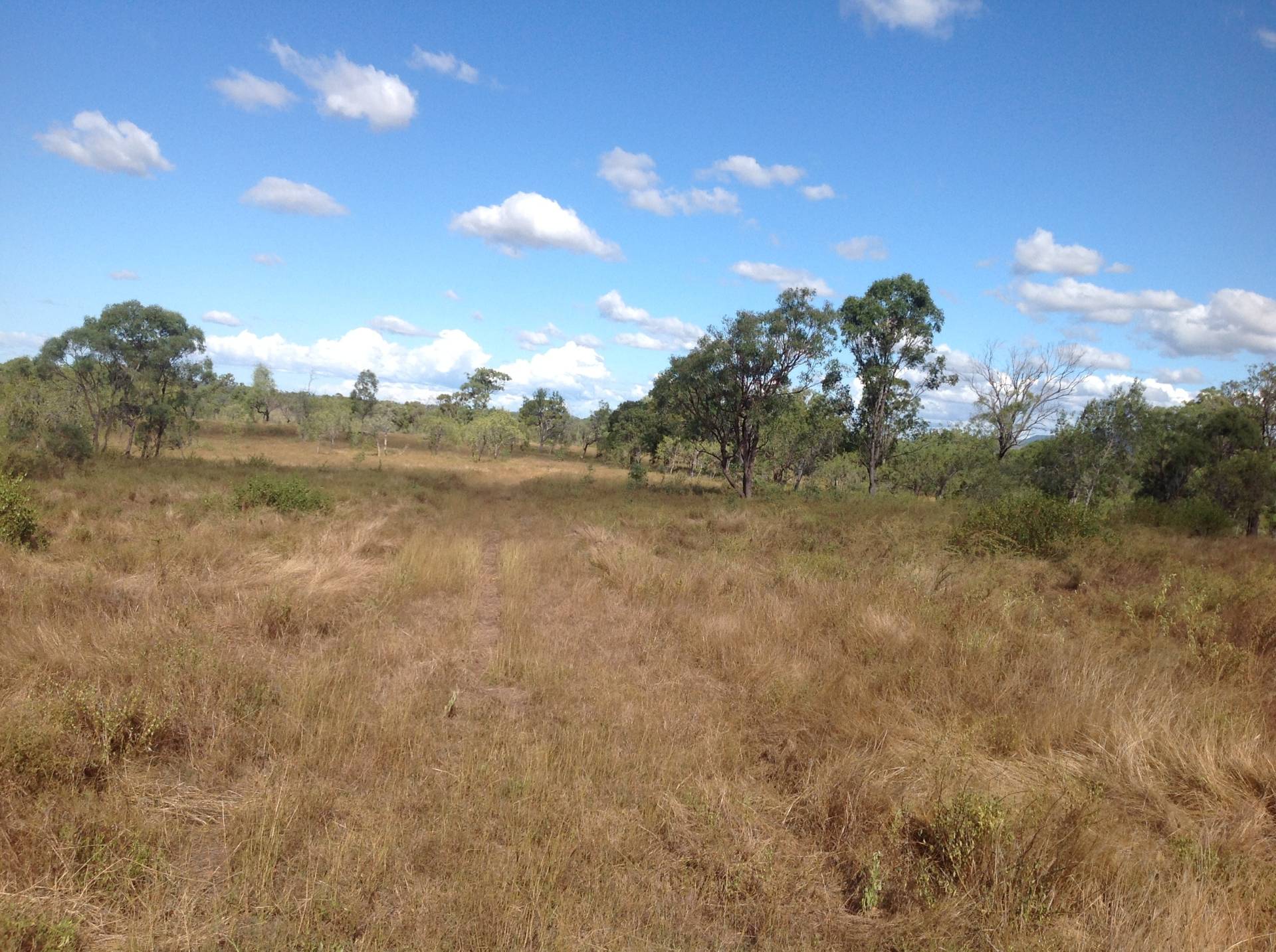 Cherryfield Road, Gracemere QLD 4702, Gracemere - Thumbnail 6