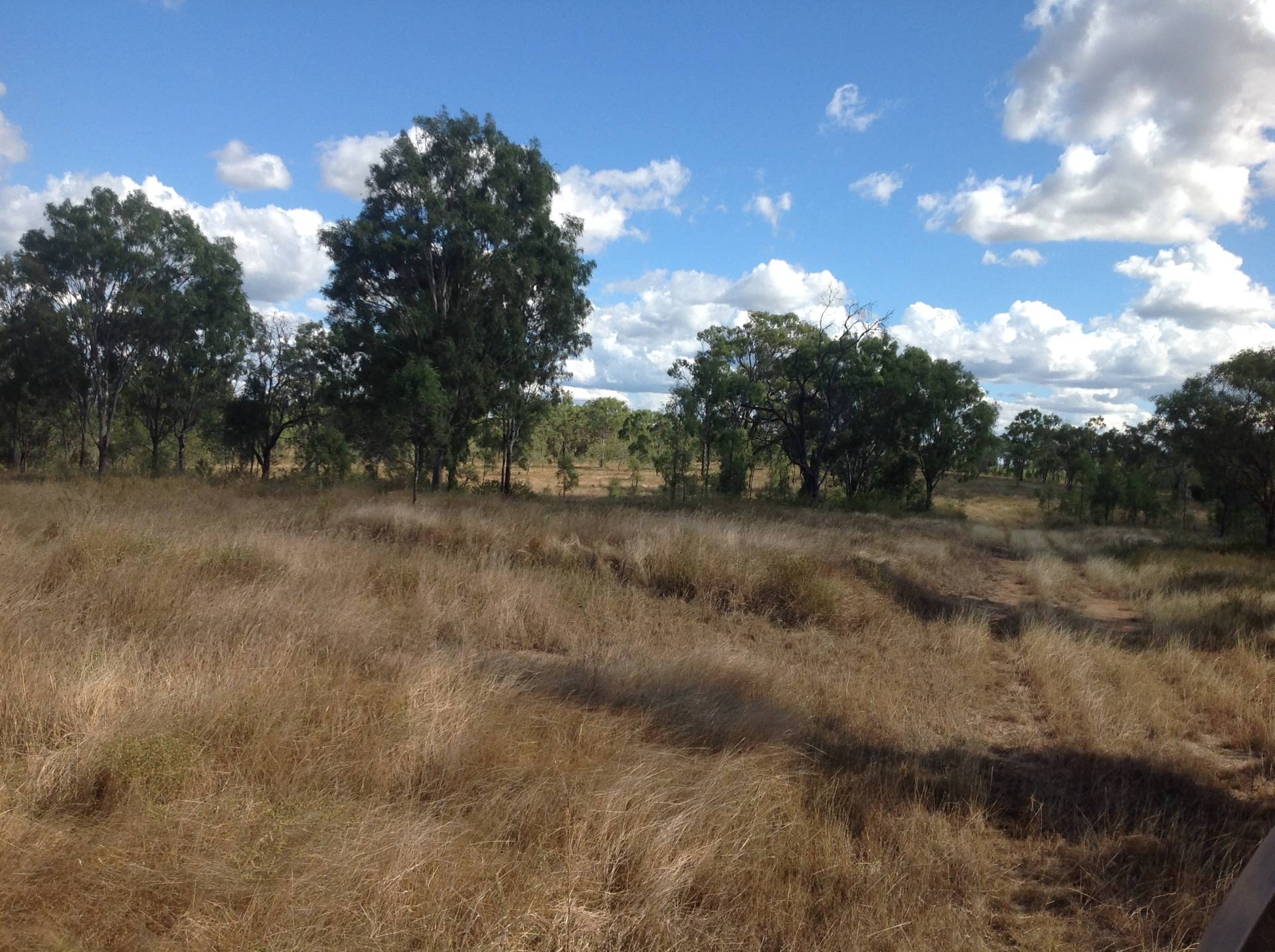 Cherryfield Road, Gracemere QLD 4702, Gracemere - Thumbnail 7