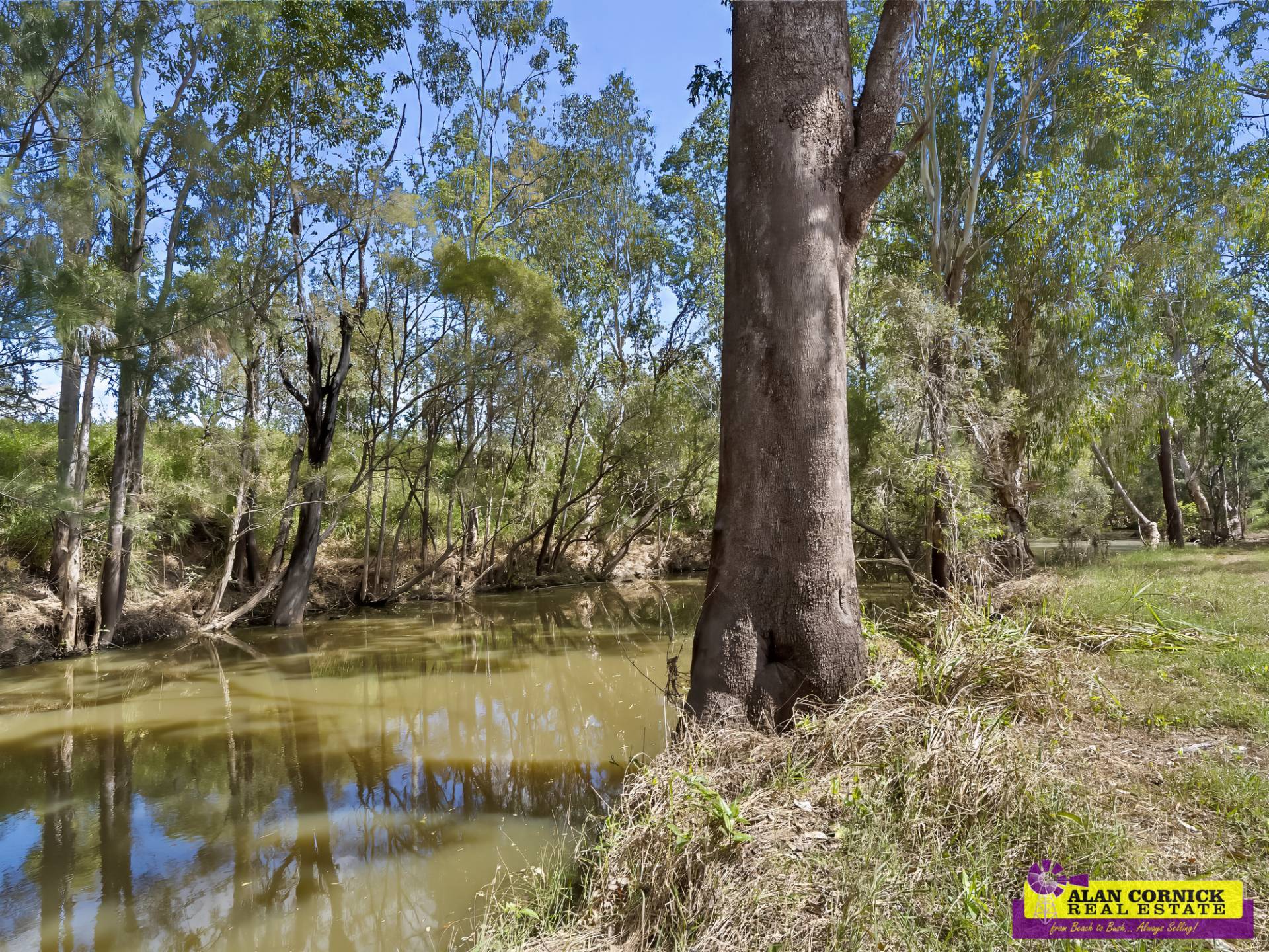 40 Neslein Rd, Glendale QLD 4711, Glendale - Thumbnail 2