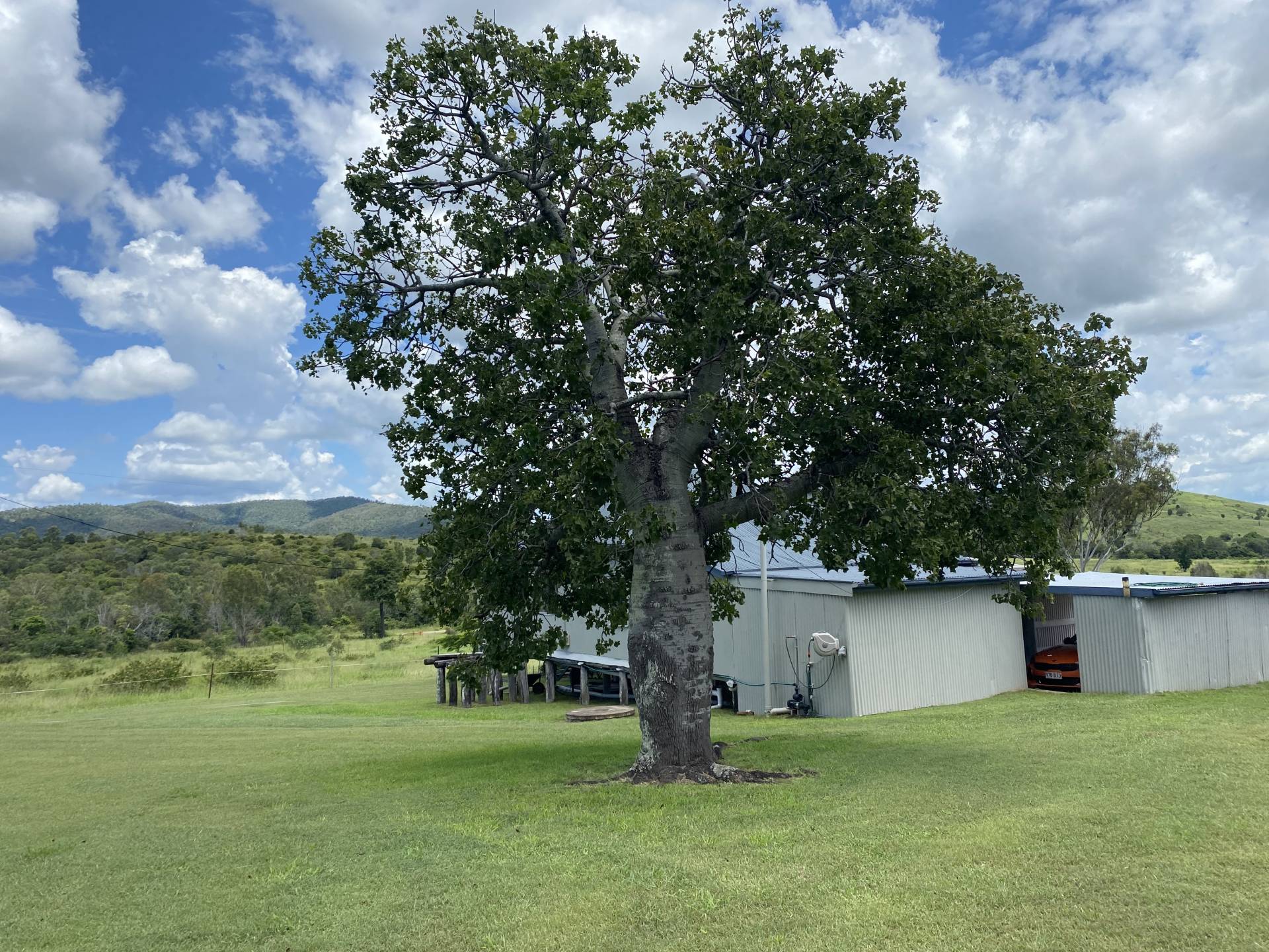 955 Hourigan Creek Rd, Raglan QLD 4697, Raglan - Thumbnail 3
