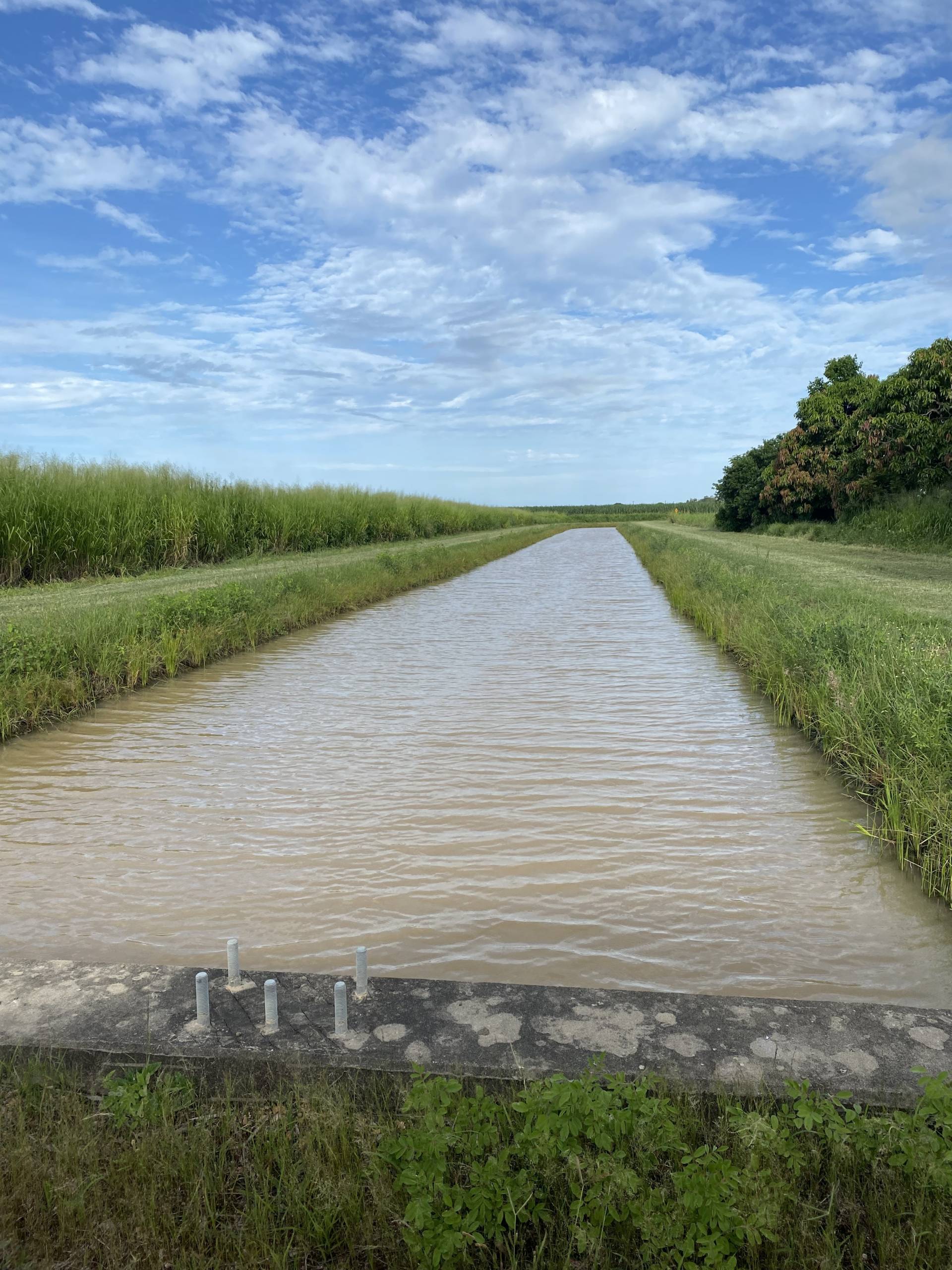 32768 Bruce Hwy, Horseshoe Lagoon QLD 4809, Horseshoe Lagoon - Thumbnail 4