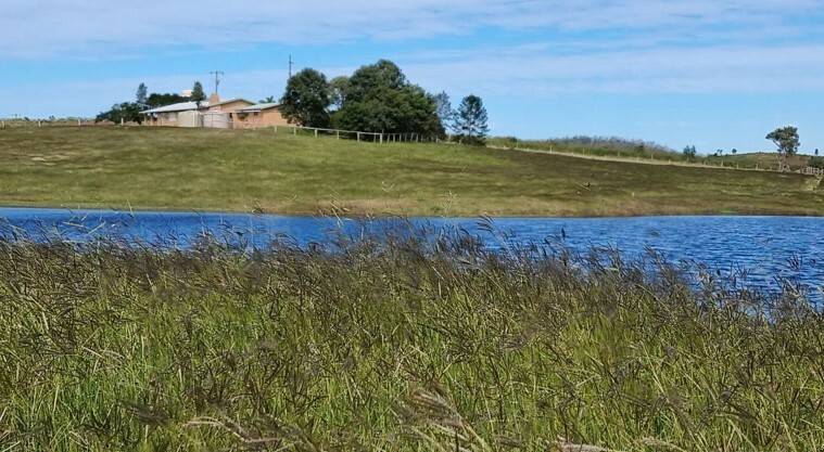 413 Milman Rd, Milman QLD 4702, Milman - Thumbnail 5