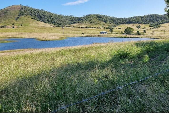 413 Milman Rd, Milman QLD 4702, Milman - Thumbnail 6