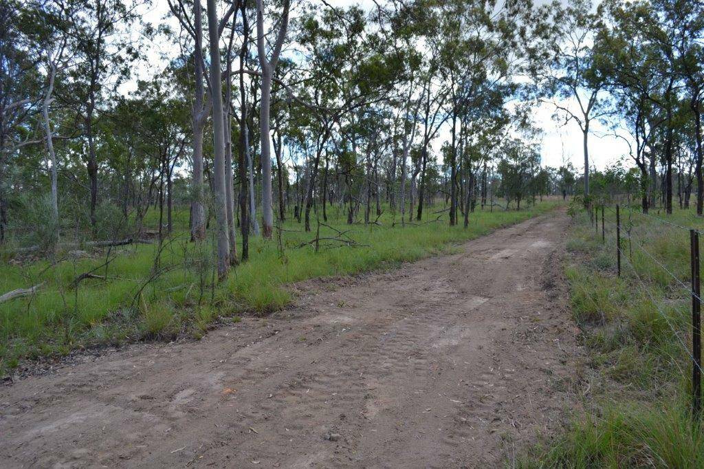 Lot 12 Weale Creek Road, Morinish QLD 4702, Morinish - Thumbnail 2