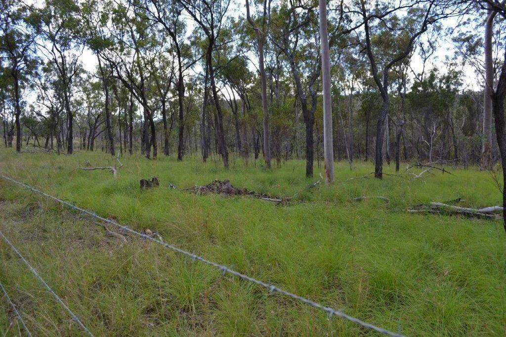 Lot 12 Weale Creek Road, Morinish QLD 4702, Morinish - Thumbnail 3