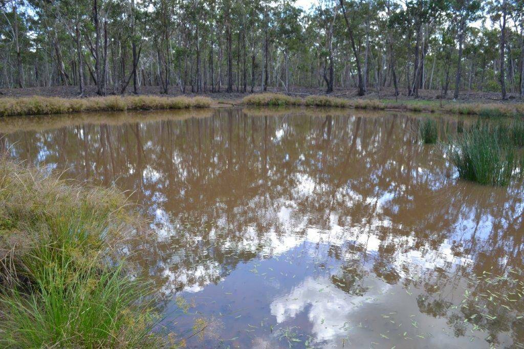 Lot 12 Weale Creek Road, Morinish QLD 4702, Morinish - Thumbnail 4