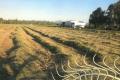 ‘Riverina’ -River Frontage -Hay Making Opportunity