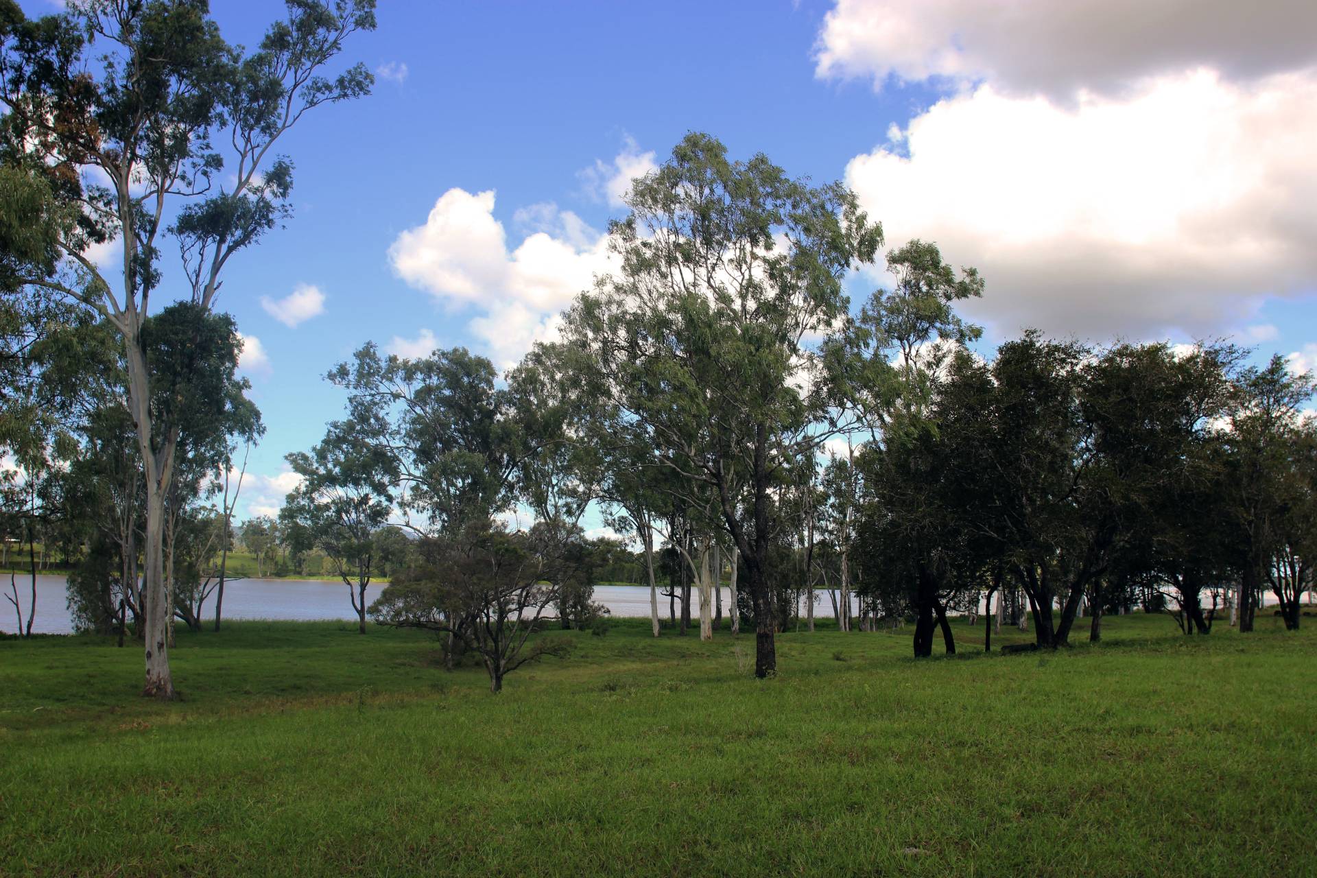 192 Wedel Rd, Alton Downs QLD 4702, Alton Downs - Thumbnail 5