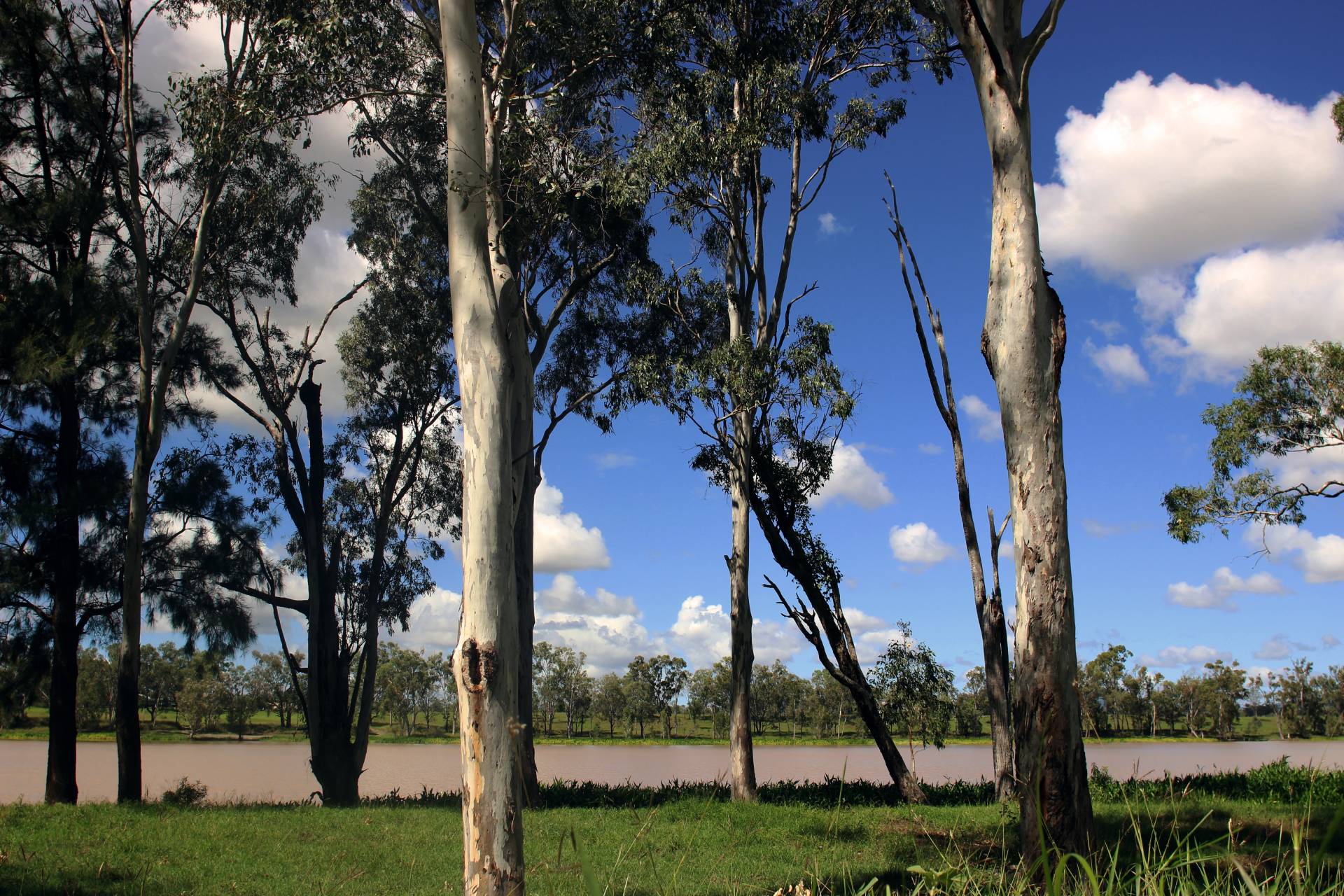 192 Wedel Rd, Alton Downs QLD 4702, Alton Downs - Thumbnail 6
