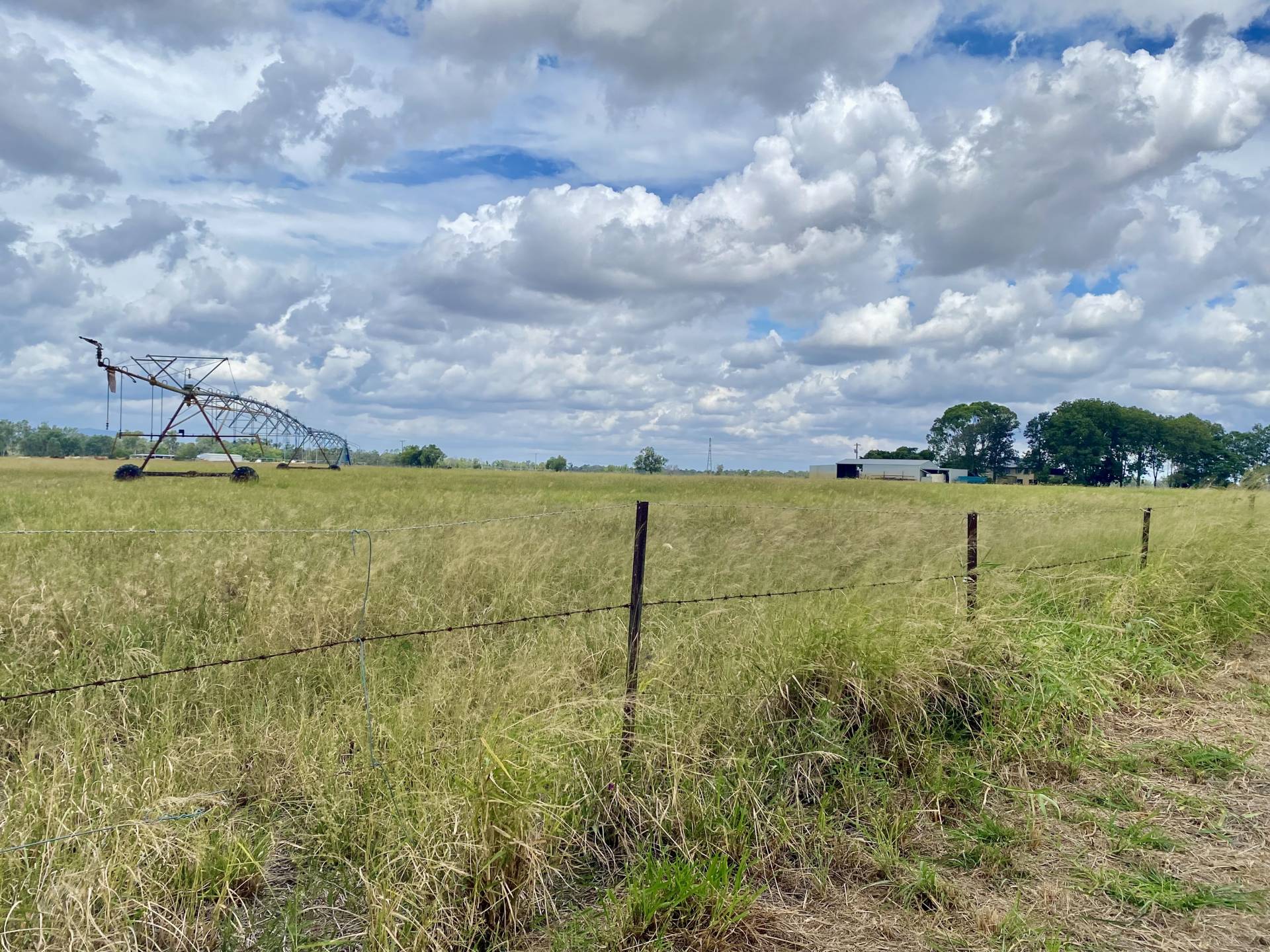 192 Wedel Rd, Alton Downs QLD 4702, Alton Downs - Thumbnail 8