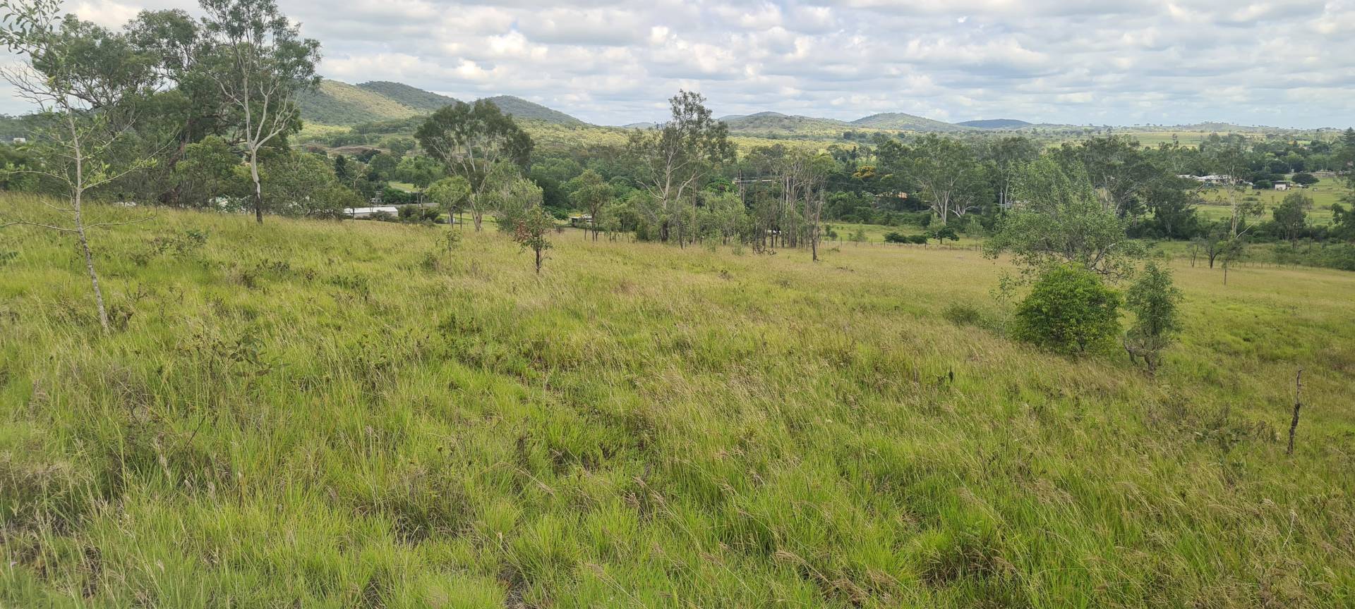 35 Coverley St, Westwood QLD 4702, Westwood - Thumbnail 6