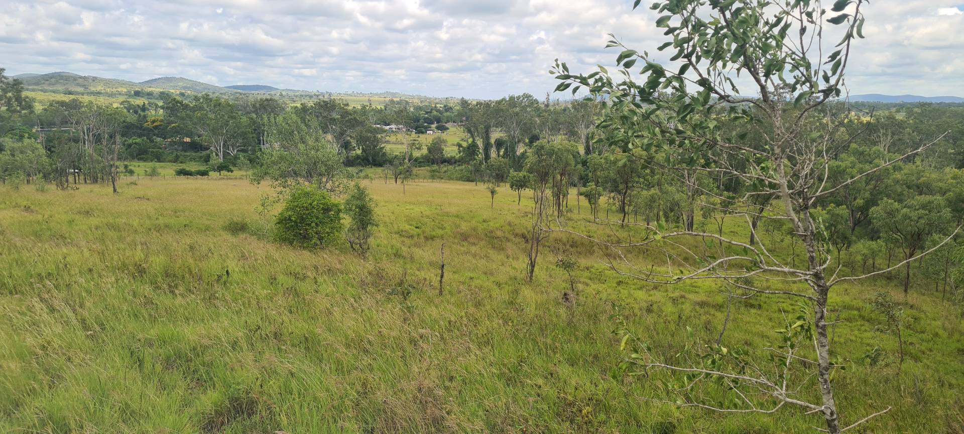 35 Coverley St, Westwood QLD 4702, Westwood - Thumbnail 4