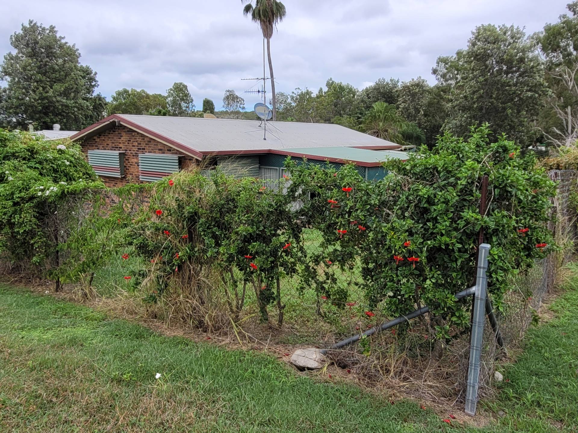 9 Joyce Street, Walterhall QLD 4714, Walterhall - Thumbnail 3