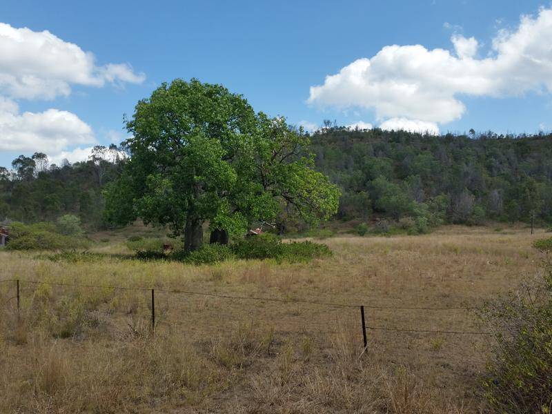 Lot C Randwick Lane, Mount Morgan QLD 4714, Mount Morgan - Thumbnail 3