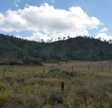 Lot C Randwick Lane, Mount Morgan