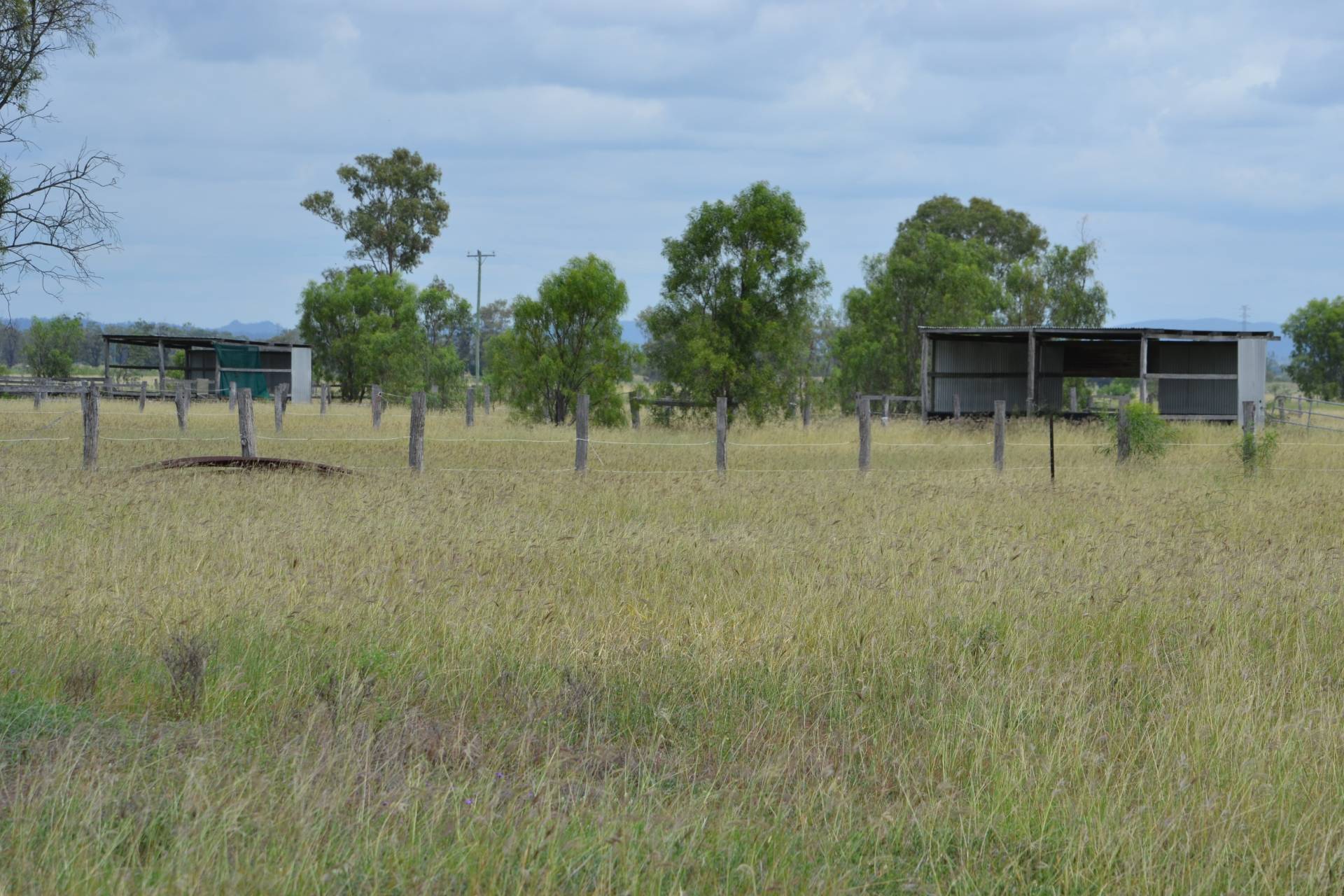 661 Ridgelands Rd, Alton Downs - Thumbnail 6