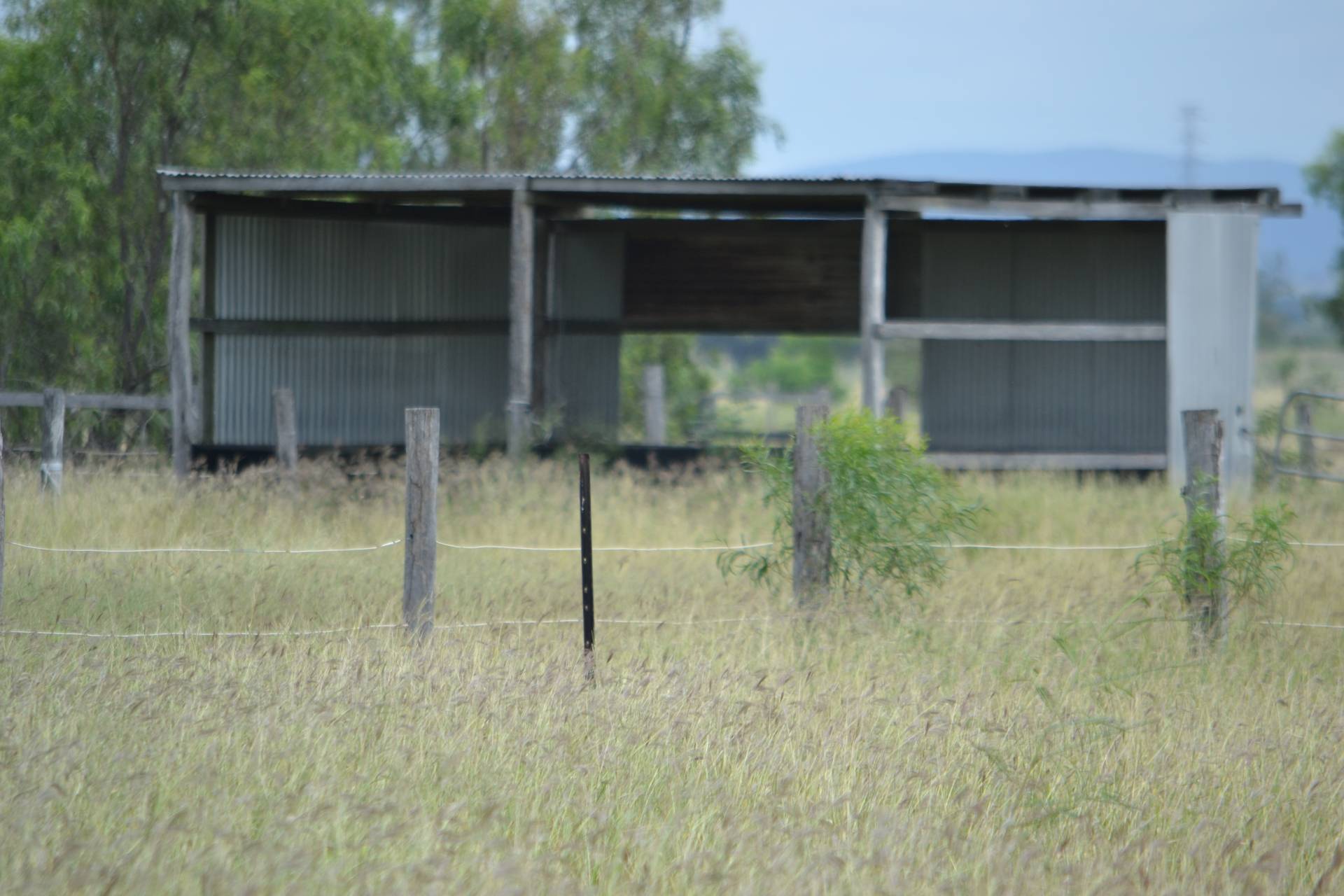 661 Ridgelands Rd, Alton Downs - Thumbnail 5