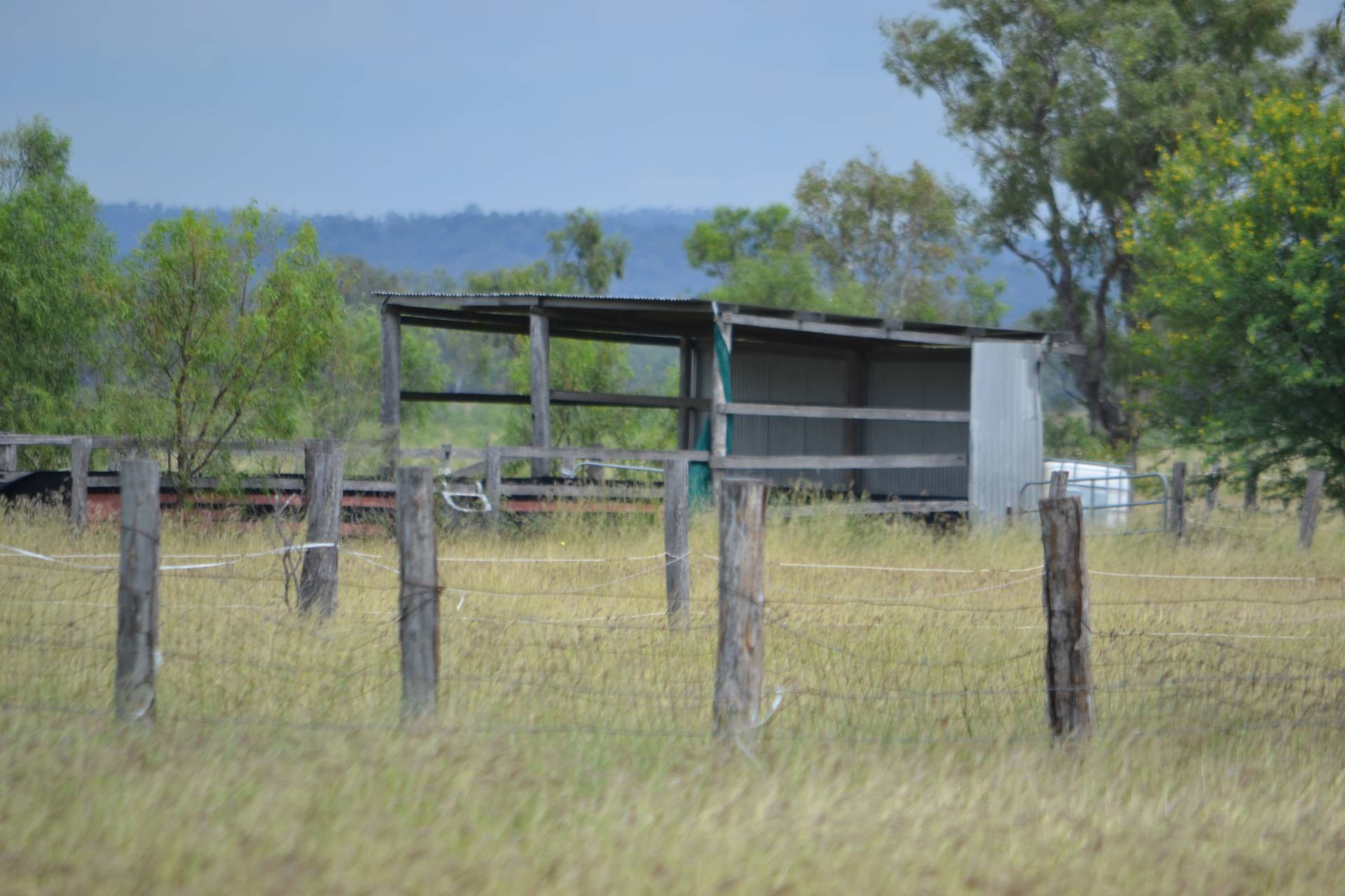 661 Ridgelands Rd, Alton Downs - Thumbnail 8