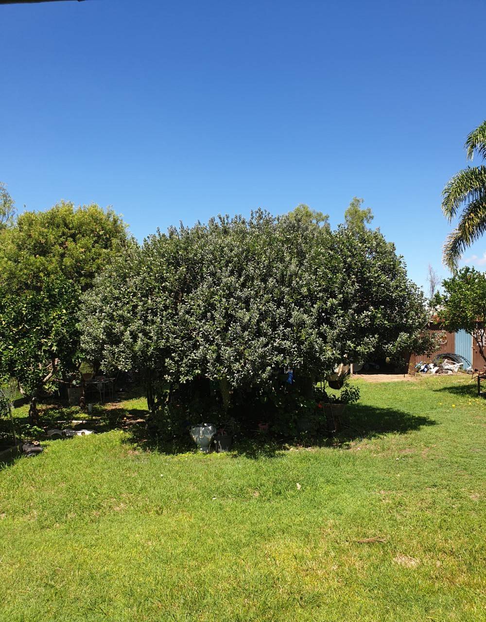 17 Gordon Lane, Mount Morgan - Thumbnail 4