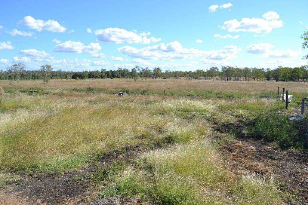 199 Sheldrake Road, Alton Downs QLD 4702, Alton Downs - Thumbnail 3