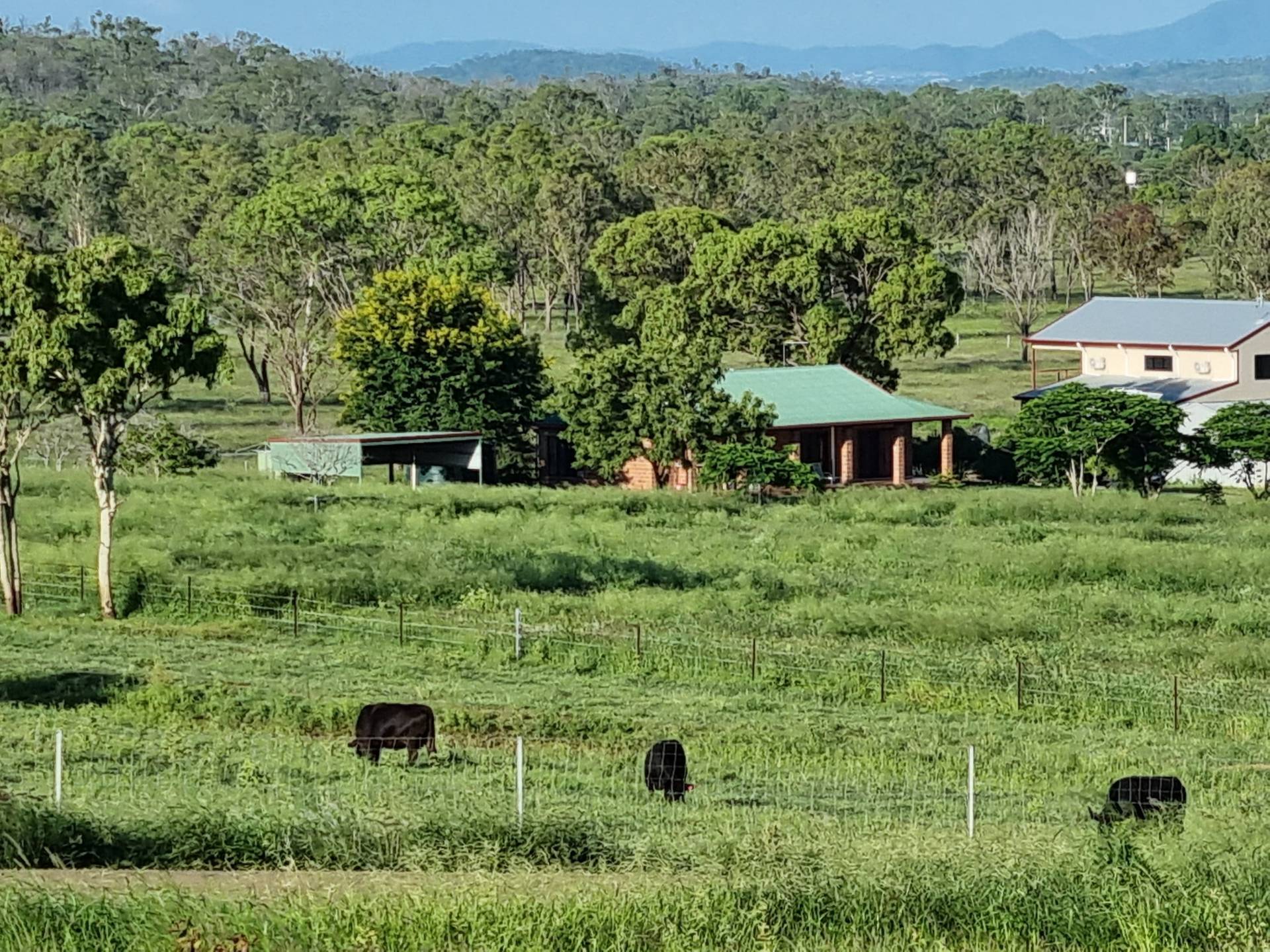 296 Murphy Rd, Kabra QLD 4702, Kabra - Thumbnail 2
