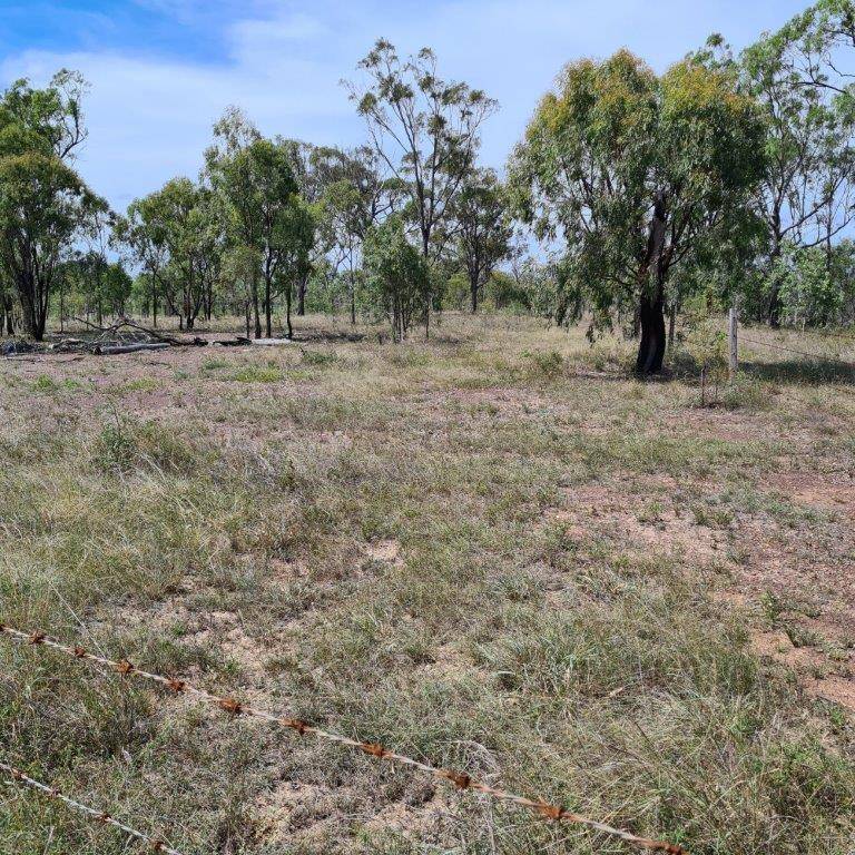 225 Mckenzie Rd, Alton Downs QLD 4702, Alton Downs - Thumbnail 3