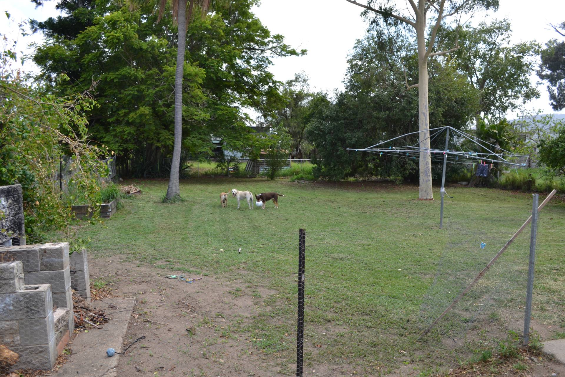 25 Kirkellen Street, Berserker QLD 4701, Berserker - Thumbnail 2