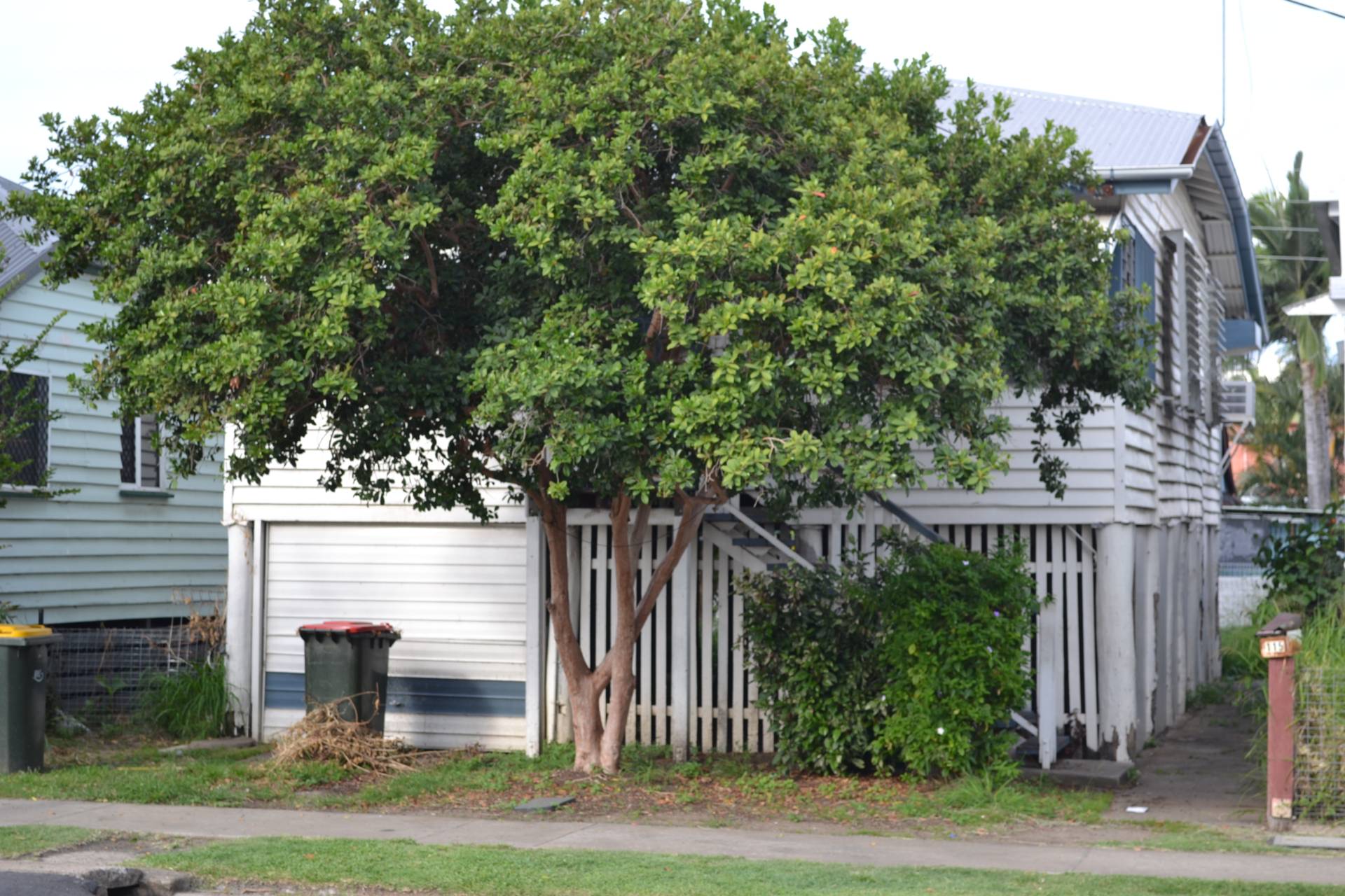 115 Denison St, Rockhampton City QLD 4700, Rockhampton City - Thumbnail 6