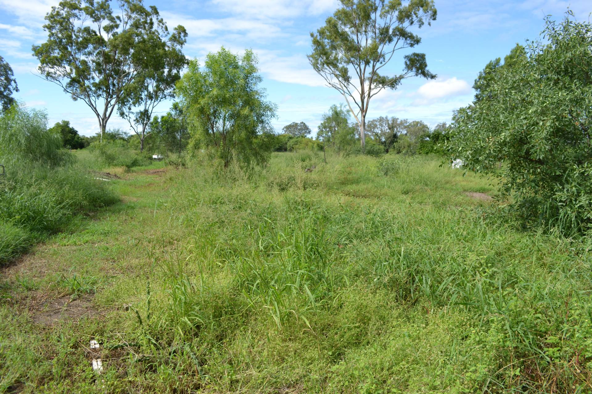 11 Old Nine Mile Rd, Fairy Bower - Thumbnail 8