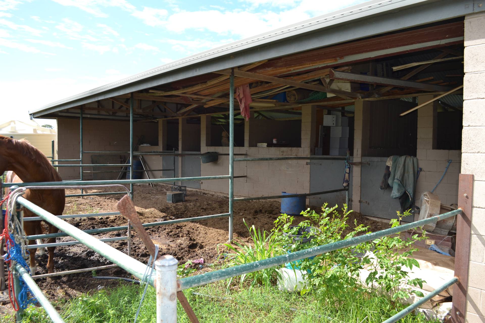 11 Old Nine Mile Rd, Fairy Bower - Thumbnail 5