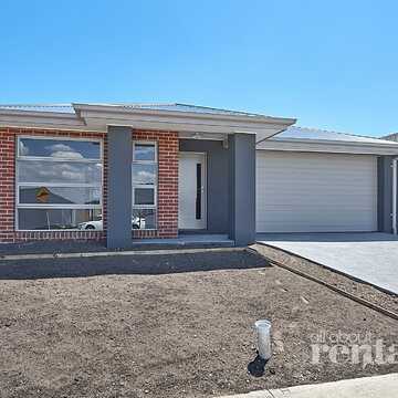 Shad testimonial image