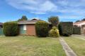Refreshed 3 Bedroom, 1 Bathroom Home!