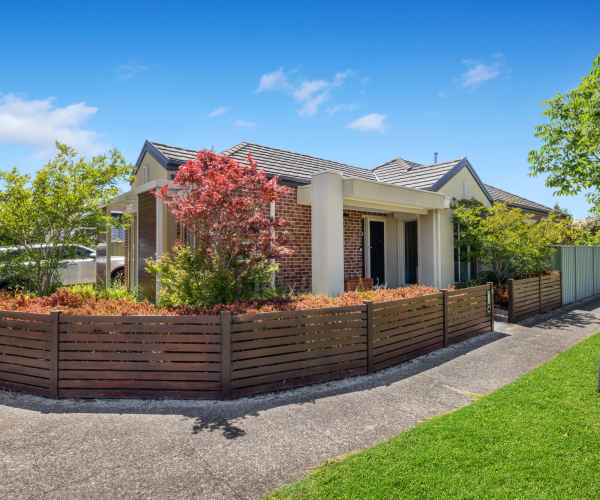 Proactive & Always Responsive