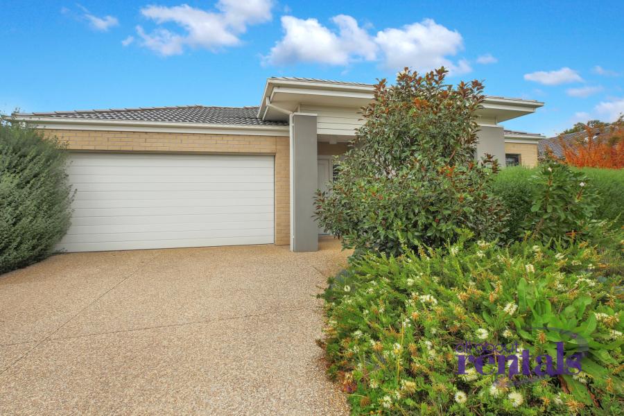Spacious 4 Bed, 2 Bath Home with Dual Living Zones, Exceptional Yard & Alfresco Entertaining