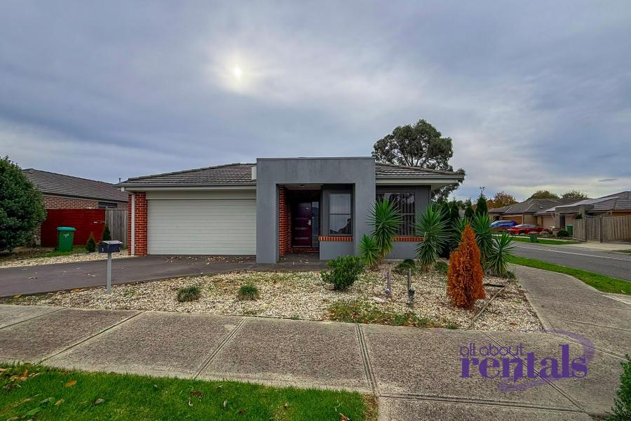 Modern 3 Bed, 2 Bath Home with Alfresco and Spacious Yard