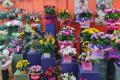 GLADSTONE PARK FLORIST FOR SALE