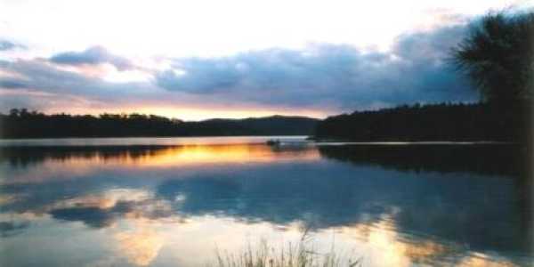 J & K Nicolls testimonial image