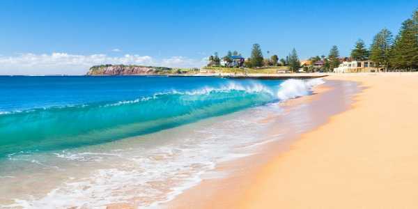 V Cook testimonial image