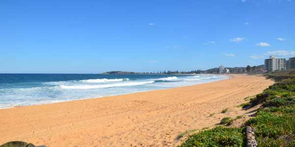 Mr & Mrs Reeves testimonial image