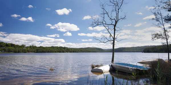 Mr Glen testimonial image